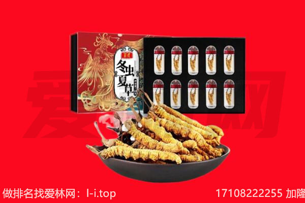 滨州市博兴回收虫草.jpg